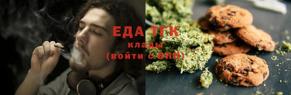 СК Аркадак