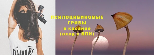 тгк Алексеевка