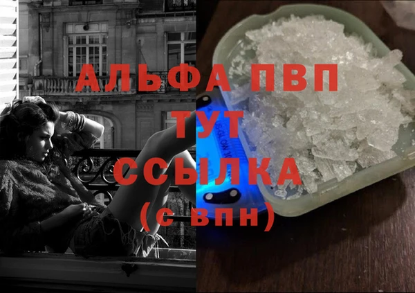 СК Аркадак
