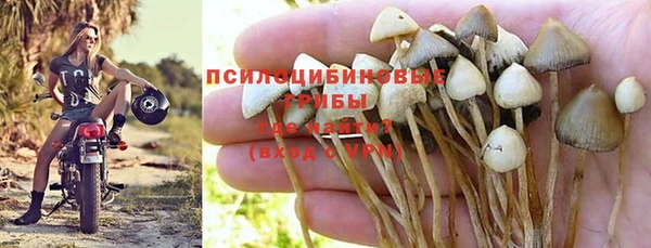 СК Аркадак