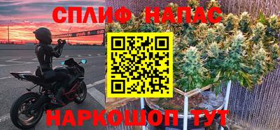 крисы Малгобек